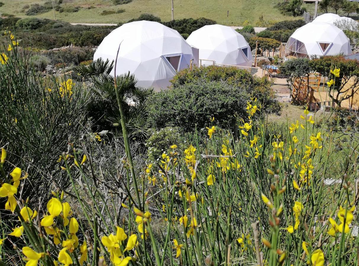 B&B Glamping Semaforo Capo Sperone SantʼAntìoco Exteriér fotografie