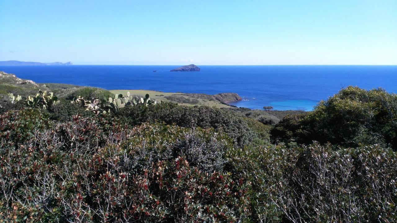 B&B Glamping Semaforo Capo Sperone SantʼAntìoco Exteriér fotografie