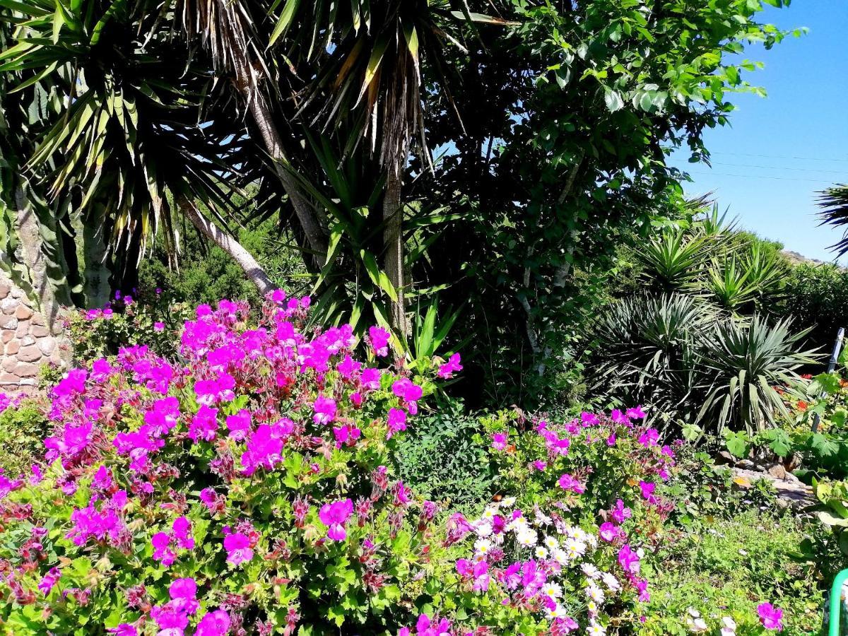 B&B Glamping Semaforo Capo Sperone SantʼAntìoco Exteriér fotografie